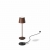 Lampa akumulatorowa LUNA MICRO corten - efekt rdzy.jpg