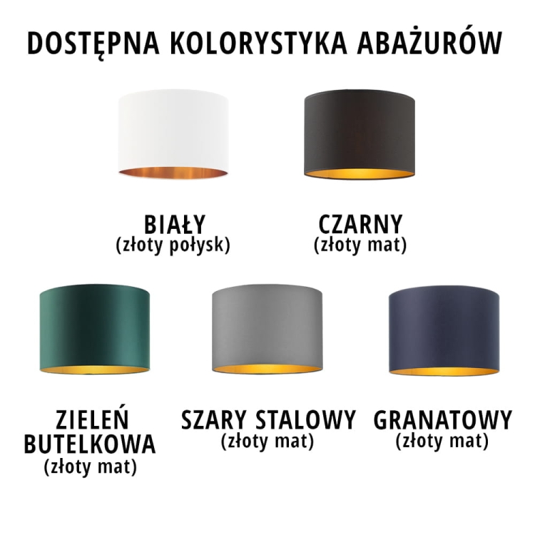 EPIR-GOLD-ZESTAWIENIE-ABAZUROW.webp