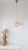 1000029153.webp