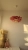 1000028335.webp