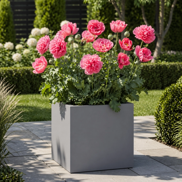 Nowoczesna donica 50x50x50 w intensywnym pomarańczowym kolorze z efektowną kompozycją host o ciepłym wybarwieniu. Idealna do ogrodu, na taras lub patio. Stylowy design podkreśla aranżację zieleni i nadaje przestrzeni elegancki, nowoczesny charakter.