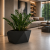 1d3e954e-d193-4b01-bb77-61695d02e21c.png