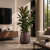 39efe8a1-f952-40c1-8dbe-2029d1eed065.png