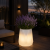 7e7777f0-299c-49cc-bc3e-3baa74268206.png
